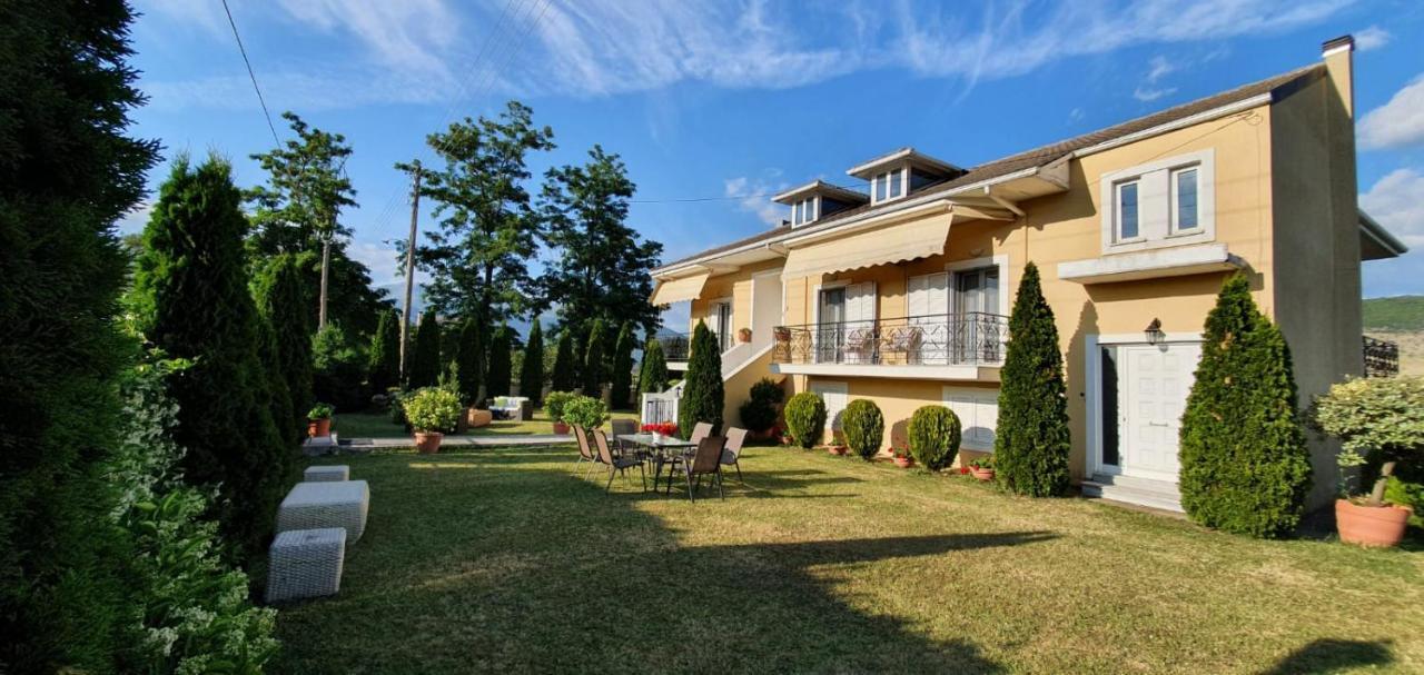 Sevi'S Luxury Guesthouse Villa Ioannina Exterior photo